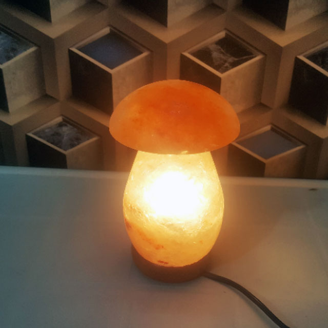 himalayan mushroom lamp
